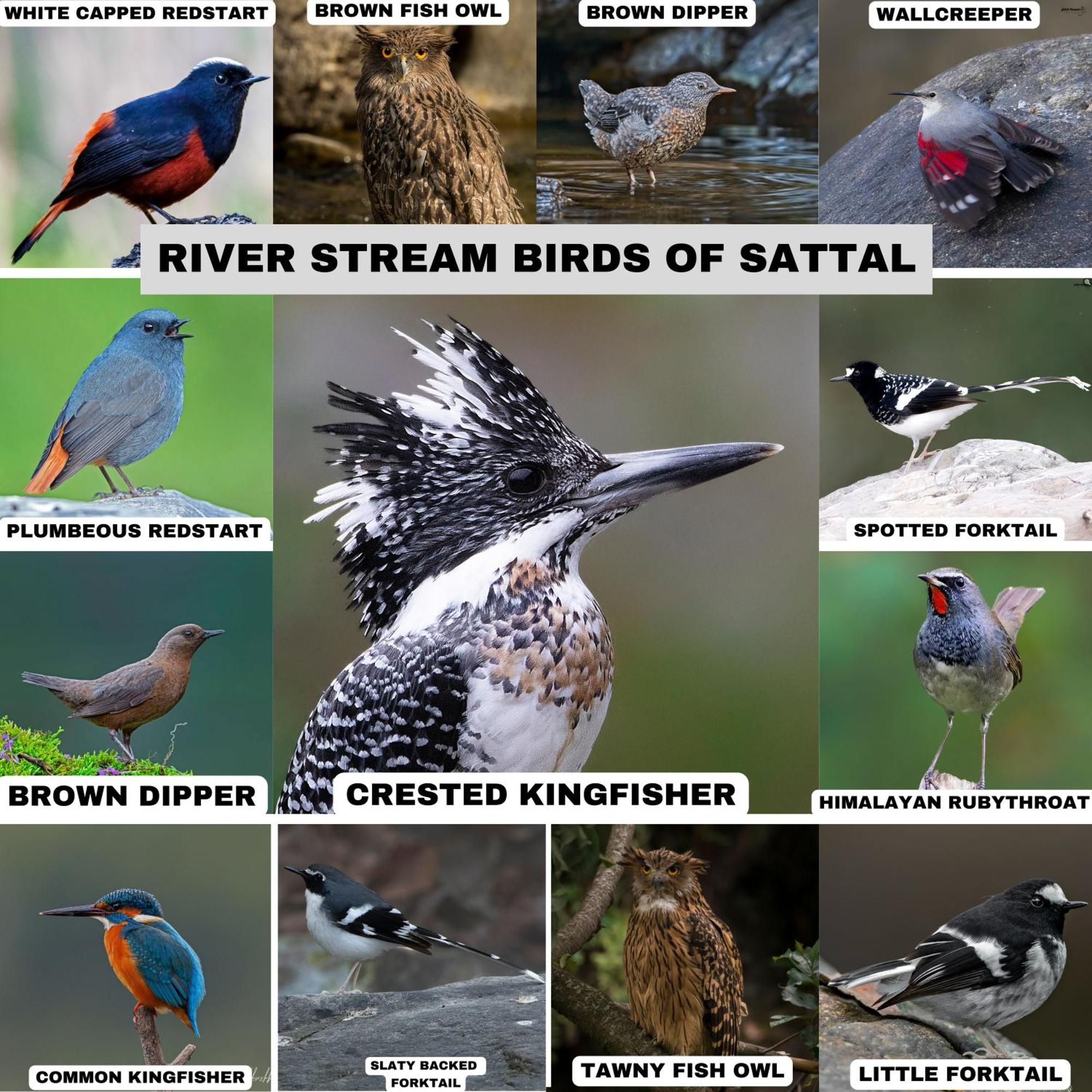 Incredible Birding Camp Apartment Bhīm Tāl Екстериор снимка